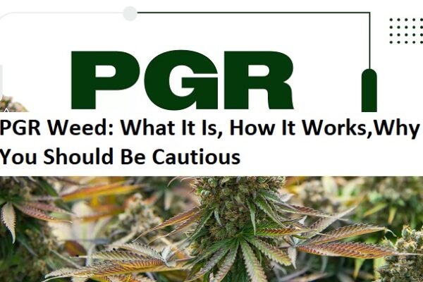 PGR Weed: What It Is, How It Works,Why You Should Be Cautious