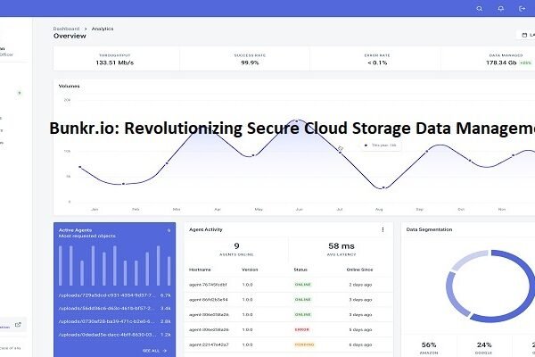 Bunkr.io: Revolutionizing Secure Cloud Storage Data Management